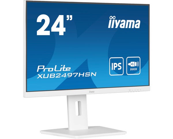 TFT 23,8&quot;/60,5cm iiyama ProLite XUB2497HSN *weiß* 16:9