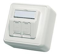 Telegärtner Modulträger,AP-Dose,f. 2xAMJ/AMJ-S-Mod./Kupp.,AW, 80x80, 30Grad, (Keystone) Telegärtner Modulträger,AP-Dose,f. 2xAMJ/AMJ-S-Mod./Kupp.,AW, 80x80, 30Grad, (Keystone)