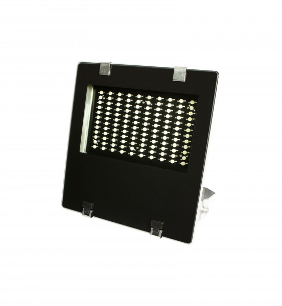 Synergy 21 LED Spot Outdoor floodlight 100W nw