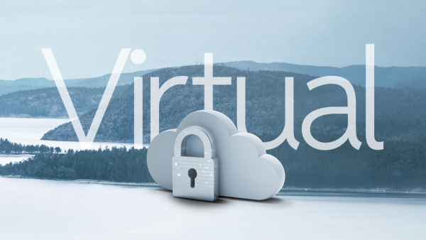 Clavister NetEye Change license to 250V