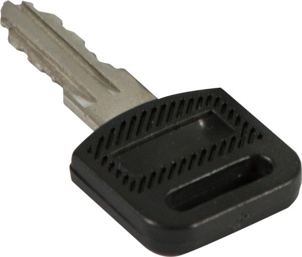 ALLNET 19"Wandgehäuse, zbh. Ersatzschlüssel, für SMB/SMC-Ser