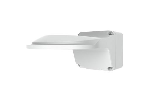 ALLNET ALL-CAM2495-LVEFN zbh. Wallmount mit Junction Box