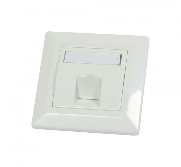 Dosen TP,AP(IP66),1-fach(Eckiger Außenrahmen),CAT6A, Keystone groß, Reinweiss, Synergy 21,