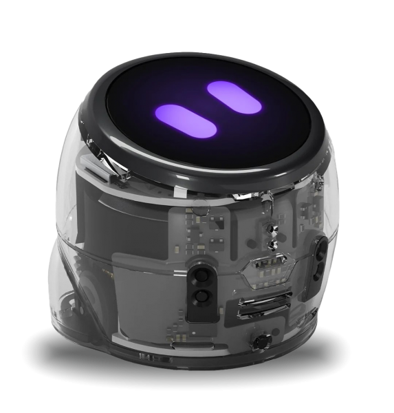 Ozobot MINT Coding Roboter &quot;Ari Entry Kit&quot;