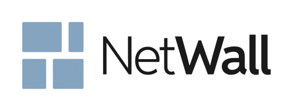 Clavister Professional Services On-site - per day