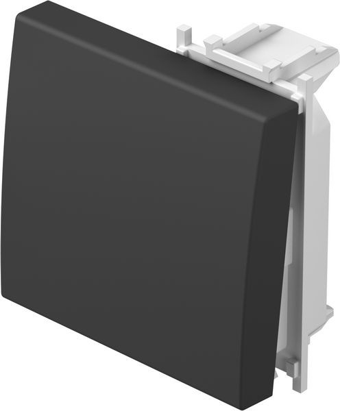 TEM series module rocker BUTTON2M SB