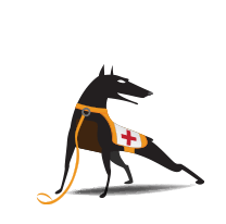 CommScope RUCKUS WatchDog End User Support,, Management license - 1 Ruckus Network Device, 3 Jahre