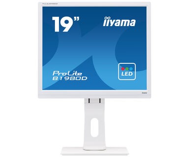 TFT 19,0&quot;/48,3cm iiyama ProLite B1980D *weiß* 5:4