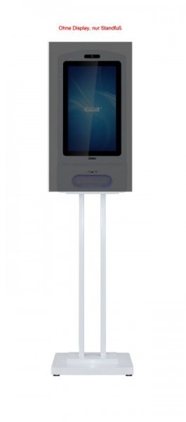 Allnet Display 21 Zoll PoE, Desinfektionsterminal zbh. Stand