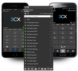 3CX Annual PBX Professional - 512SC