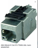 Telegärtner Modul, AMJ, CAT6A, TP/LSA, Snap-In,  2-Pack, T568A, (Keystone) Telegärtner Modul, AMJ, CAT6A, TP/LSA, Snap-In,  2-Pack, T568A, (Keystone)