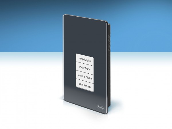 Auerswald TFE / TFS-Dialog 400, anthrazit