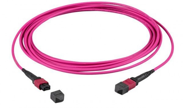 LWL-MTP®-Female Patchkabel OM4 LowLoss, 24 Faser, Typ A 1:1, erika-violett, 25m